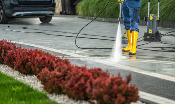 Best Patio and Deck Pressure Washing  in Freeland, PA